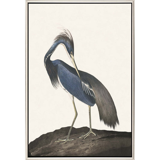 Great Heron Ii Canvas Silver Floater Frame Print Wall Art