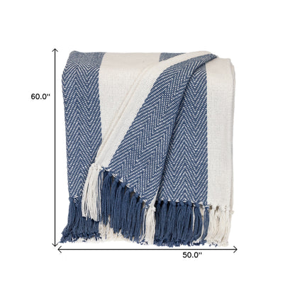 Parkland Collection Transitional Stripe Blue Rectangle 60" x 50" Throw